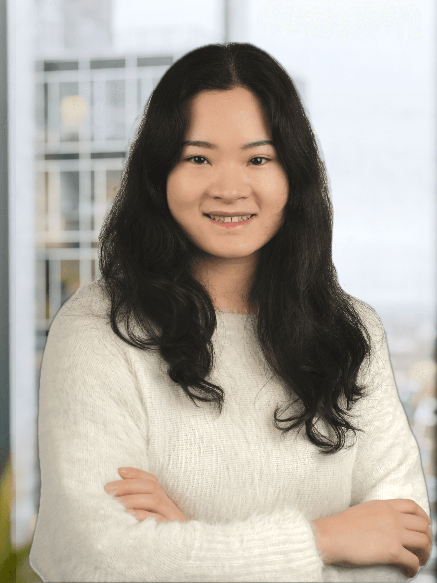 Ruoying Li